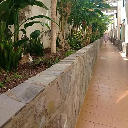 Live Puerto Santiago Europa *